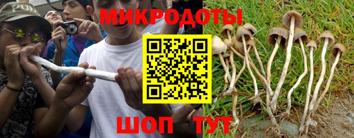 Псилоцибиновые грибы Psilocybine cubensis  Вход с VPN  Галлюциногенные грибы ЛСД  Алапаевск 