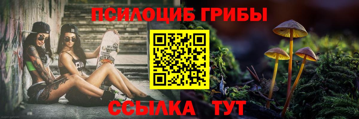 Галлюциногенные грибы Cubensis Алапаевск
