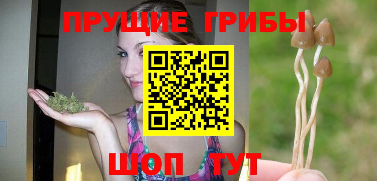 Галлюциногенные грибы мухоморы  Галлюциногенные грибы Psilocybe  Алапаевск 